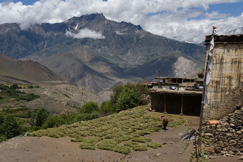 Jarkot / Jaricot Village