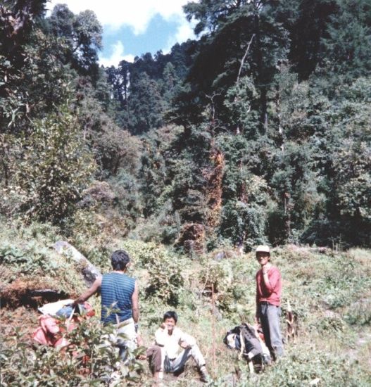 In the Jungle on route to Mangeythanti Bhanjyang