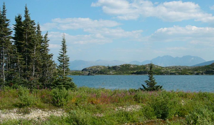 Scenery on the White Pass - Yukon Railway