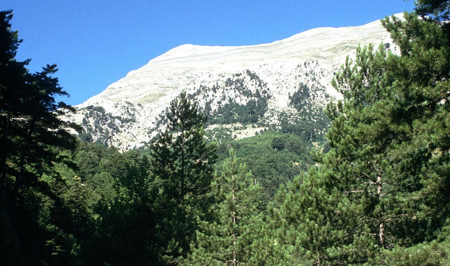 Profitis Illias in the Taygettos Mountains