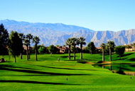 http://www.downtownpalmspringshotels.com/