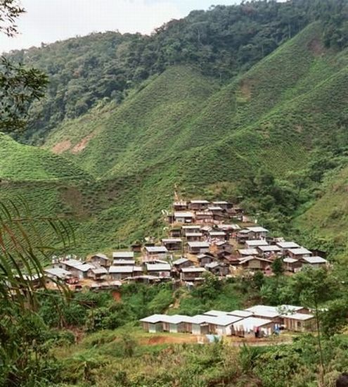 Orang Asli village in the Cameron Highlands