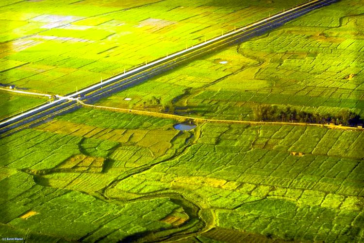 Fields in the Terai Region of Nepal