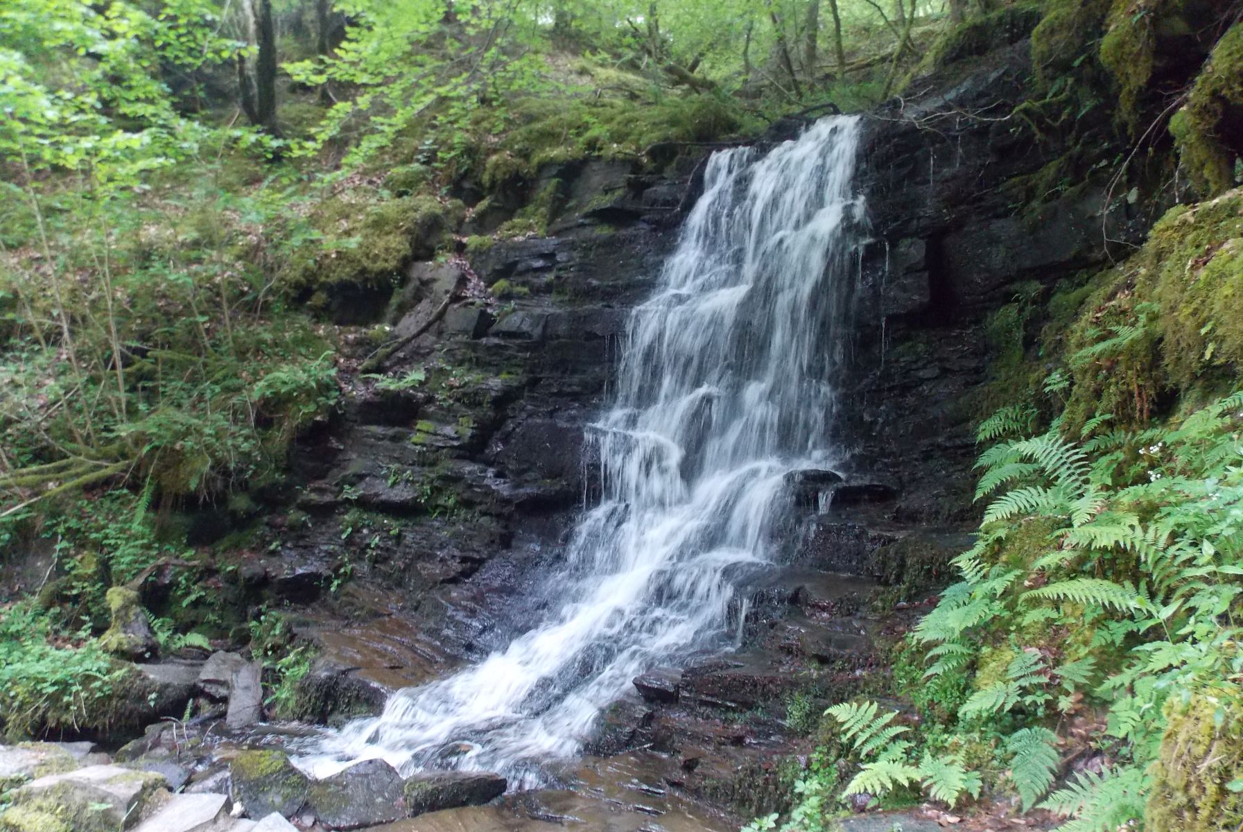 Waterfall in the Birks of Aberfeldy