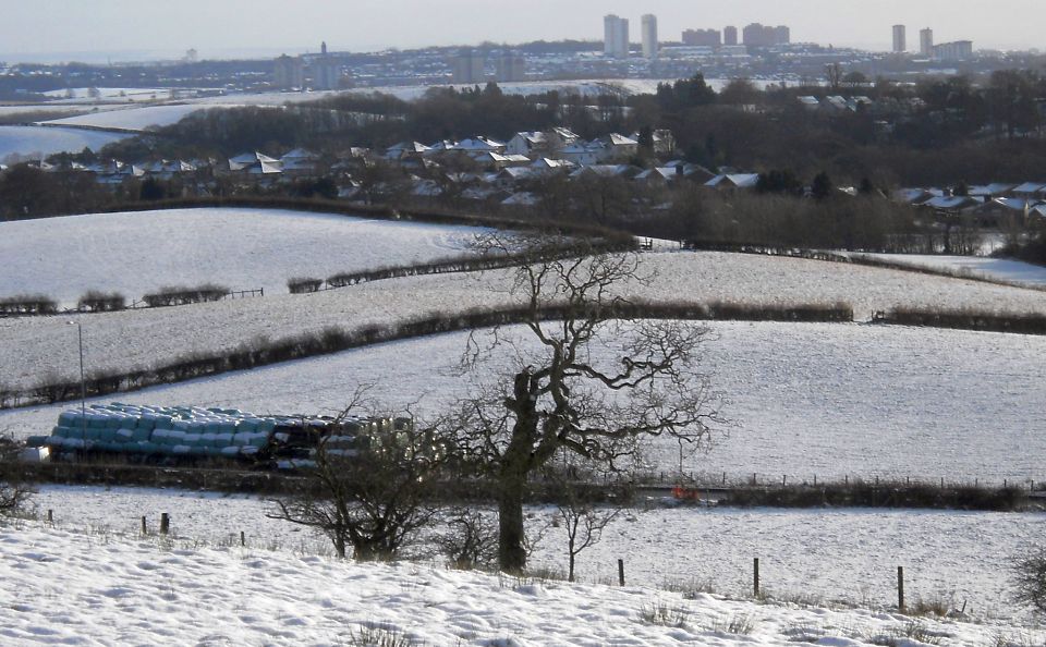 High rise buildings in Glasgow from trig point on South Mains Farm