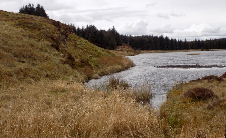 Lucifer's Loch on Dumbarton Muir