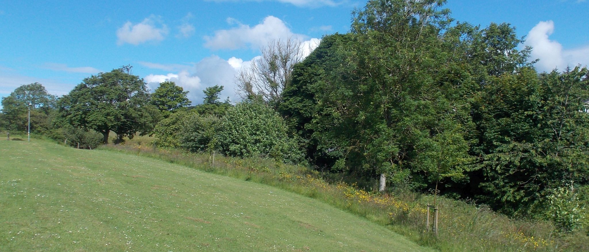 Above Manse Burn at Baljaffray