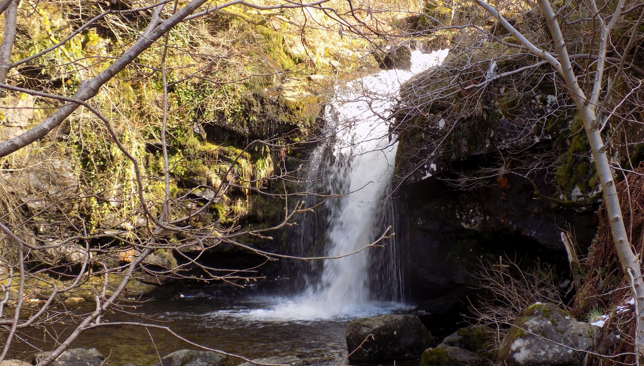 Waterfall on Kirk Burn in Campsie Glen