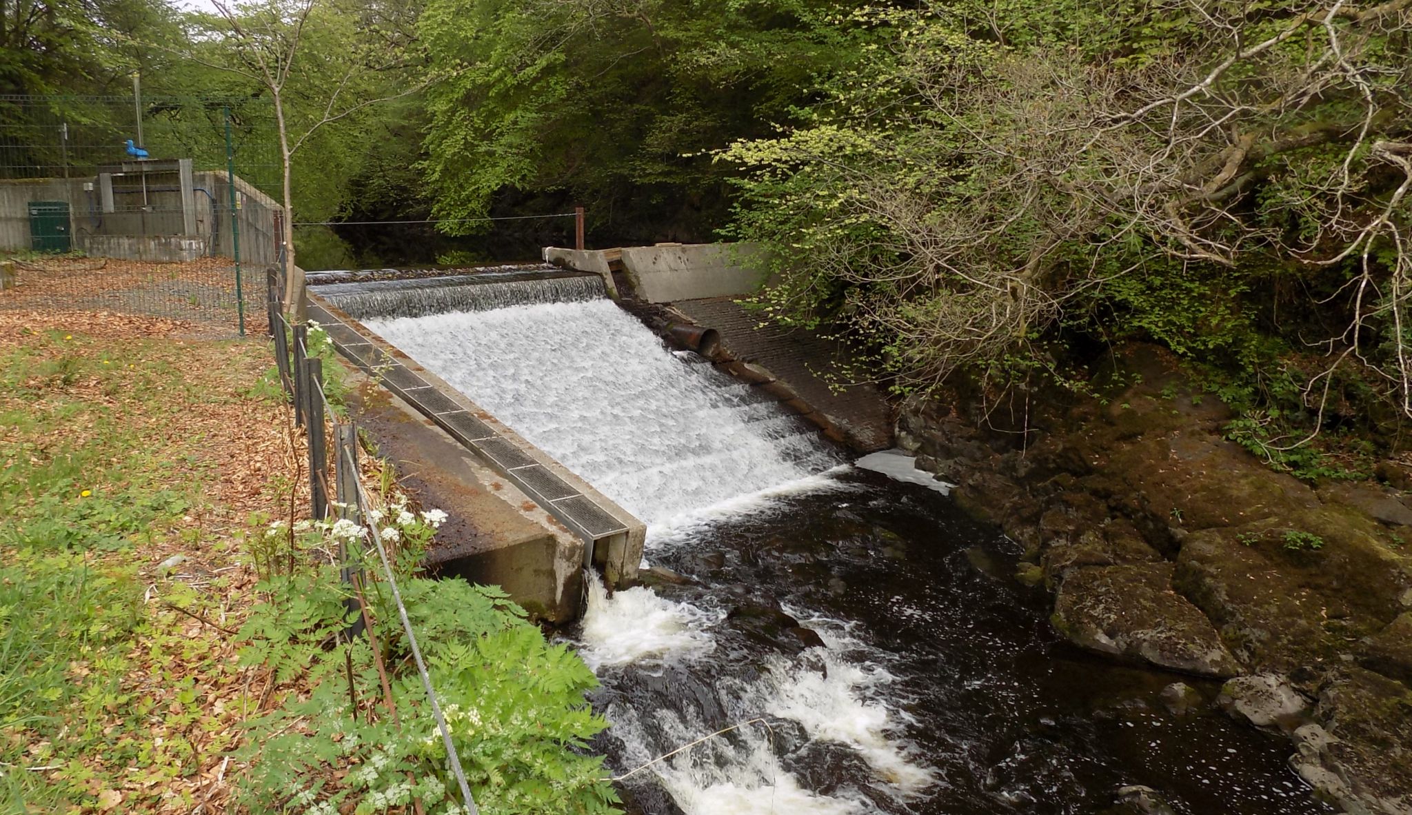 The Fish Ladder at Carron Glen Wildlife Reserve