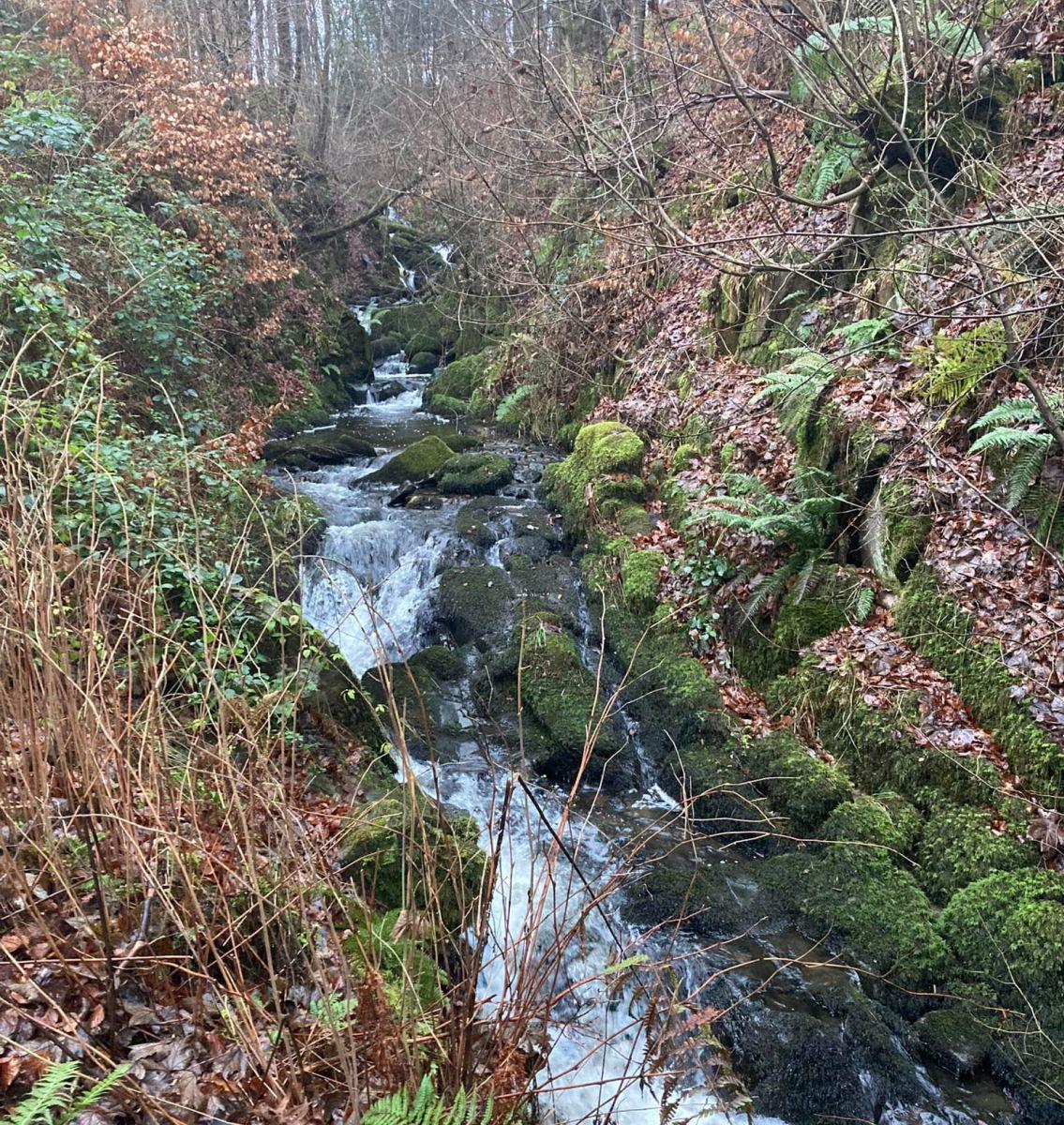 Waterfalls in the Glen