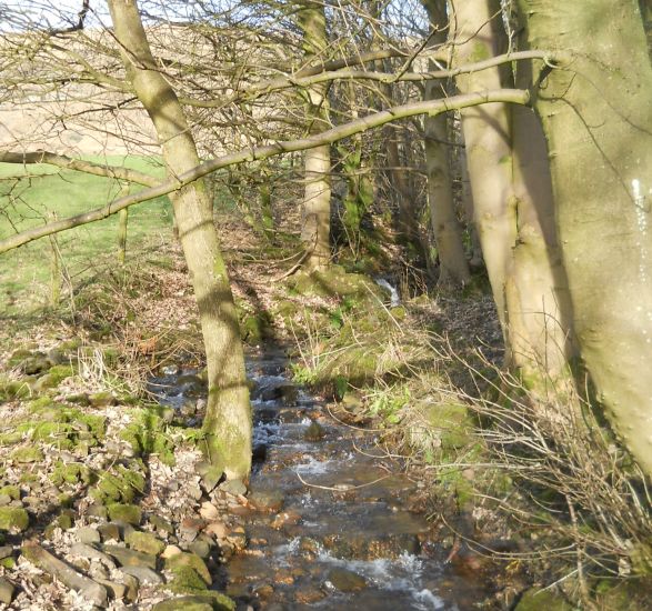 Burn ( stream ) from the Campsie Fells