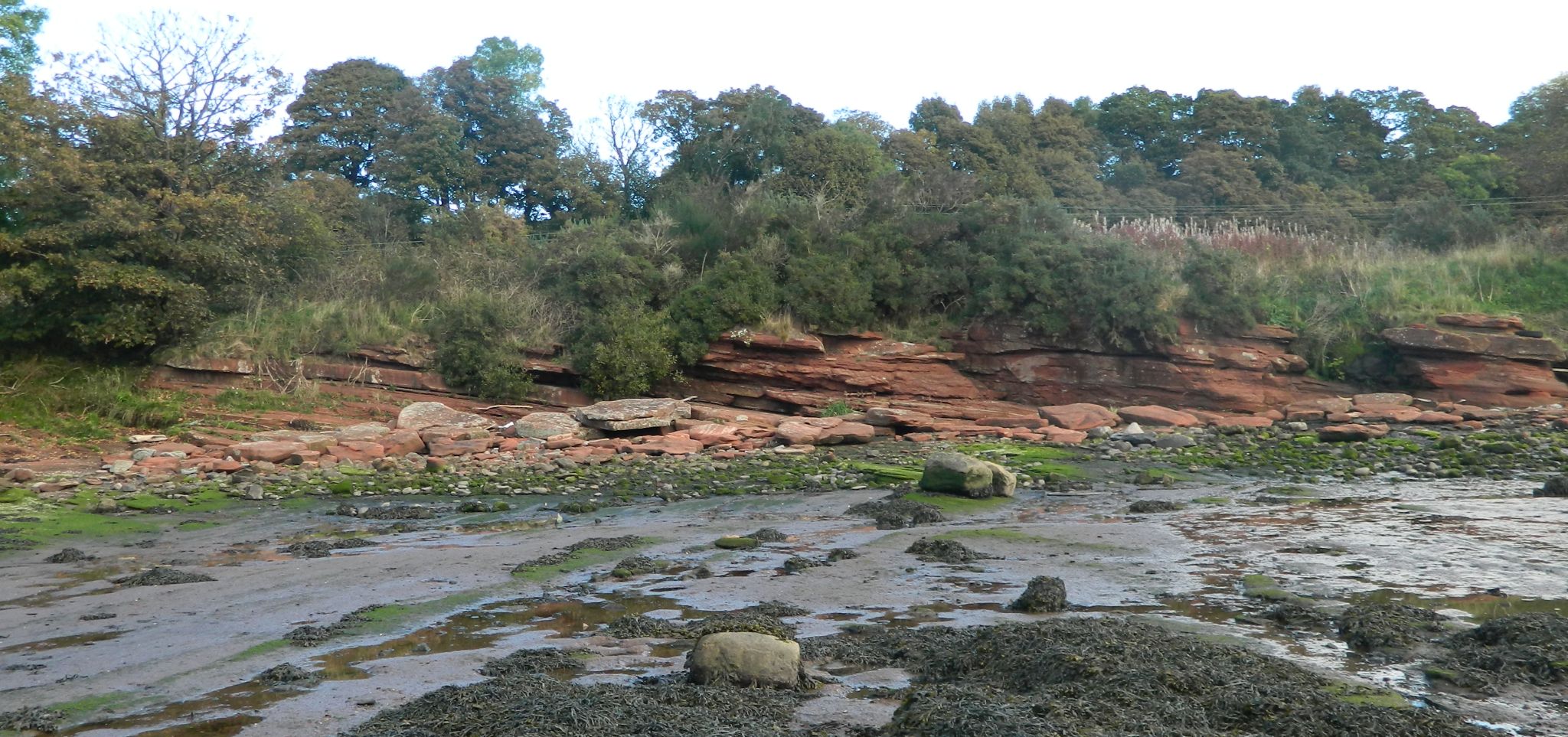 Sandstone beds along Firth of Clyde