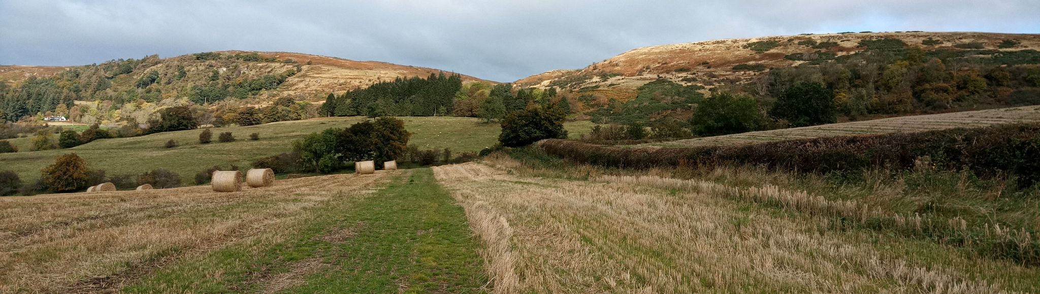 Kilpatrick Hills above Clyde Coastal Path