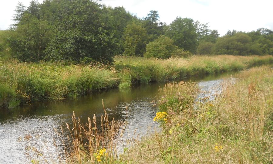 The Endrick Water