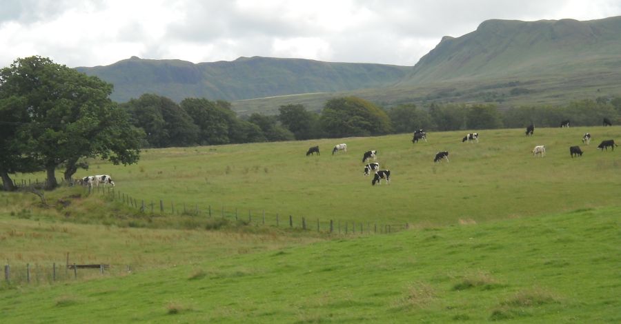 Cottages in Gartness Village