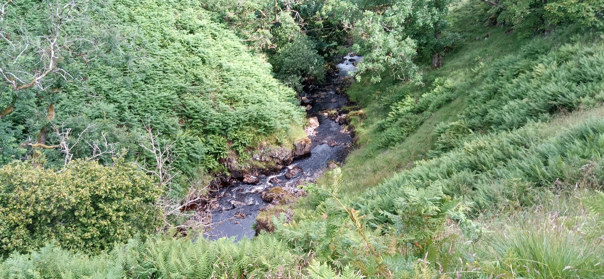 Finglen Burn