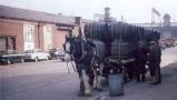 horse_cart_1966.jpg