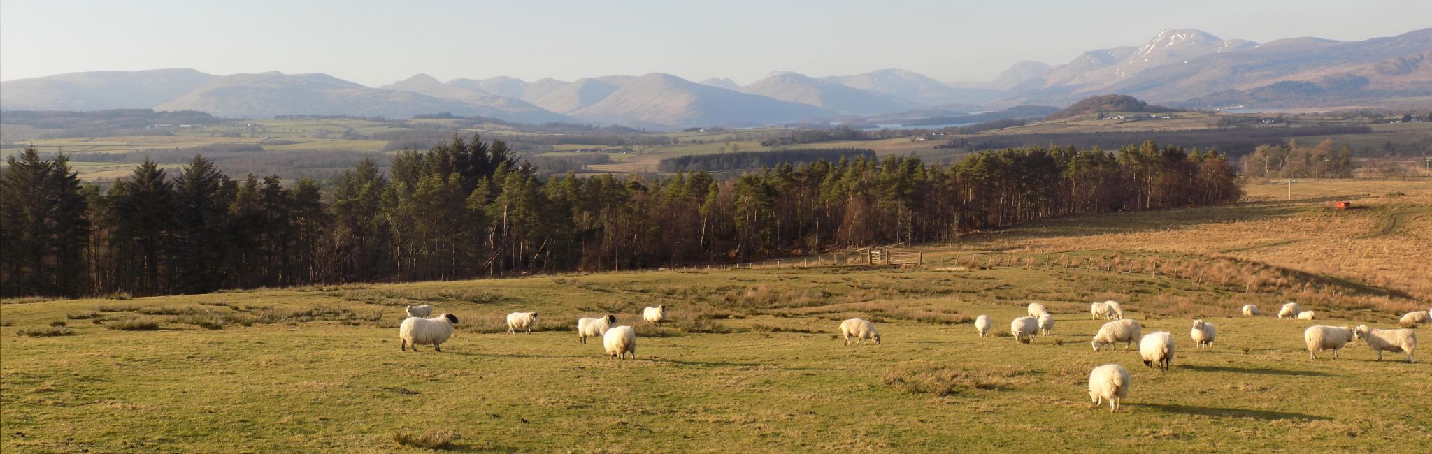 Luss Hills and Ben Lomond from Gallangad Muir