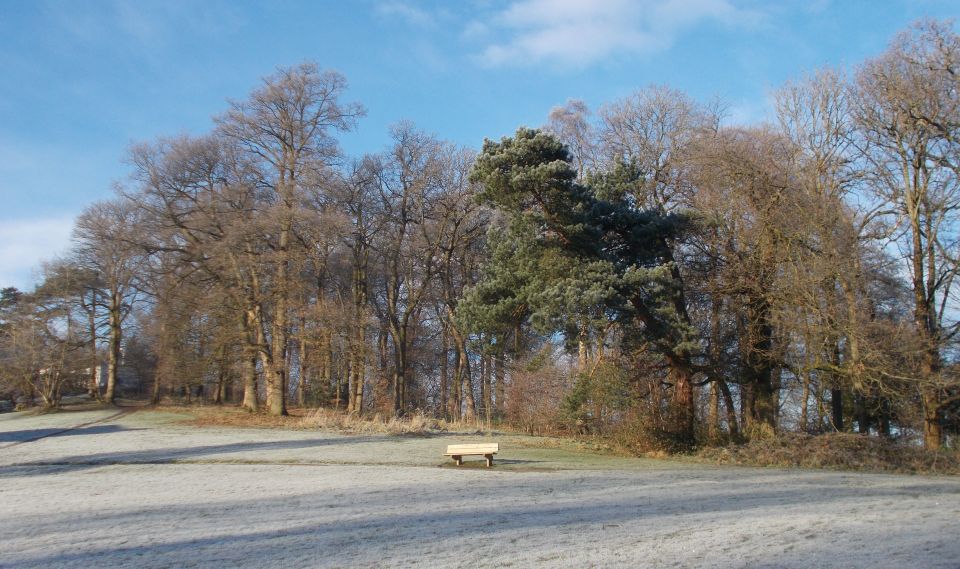 Kilmardinny Loch in winter