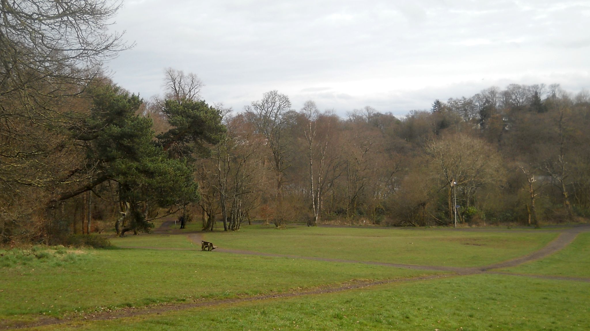 Woodlands at Kilmardinny Loch in Bearsden