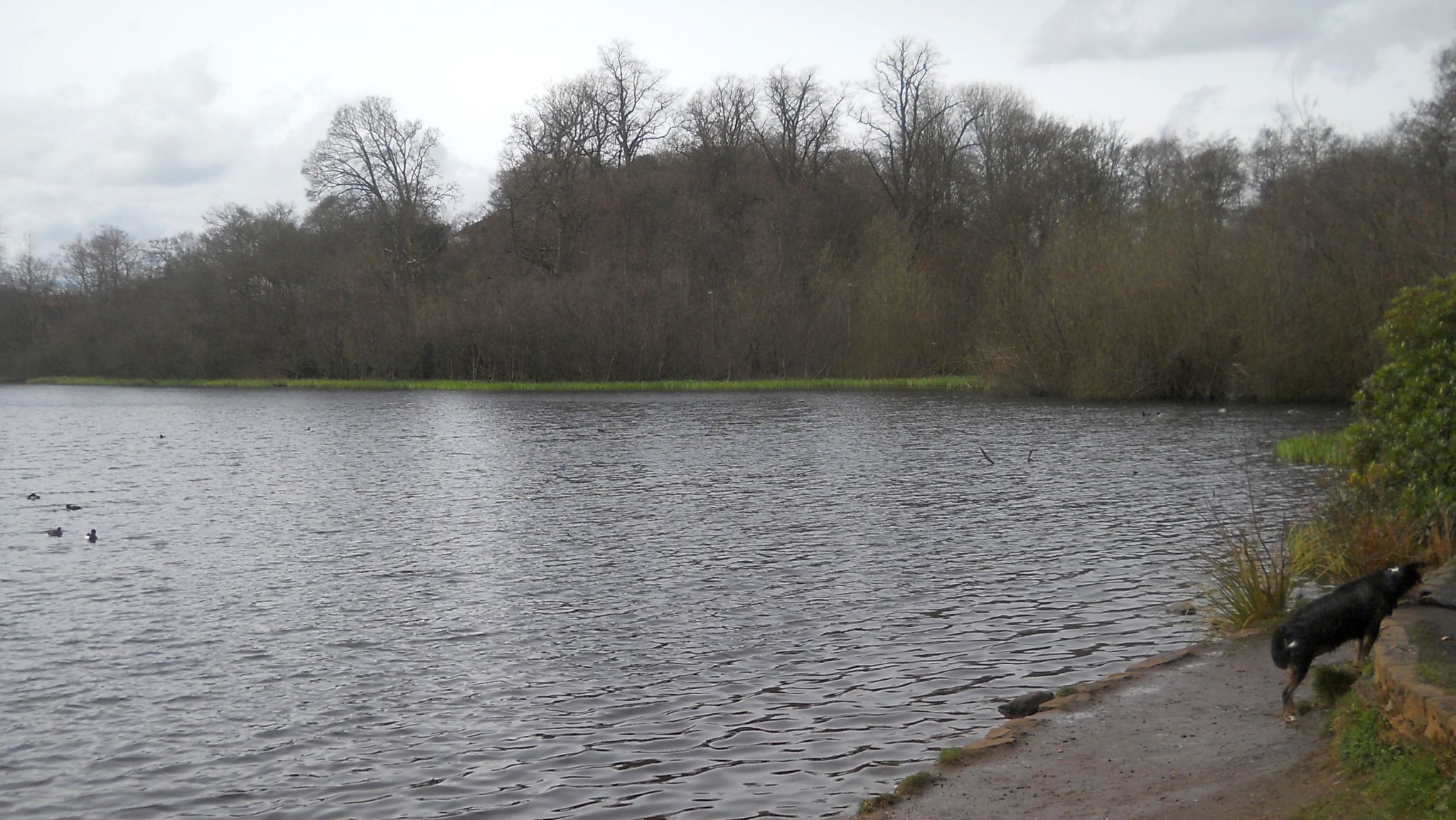 Kilmardinny Loch in Bearsden