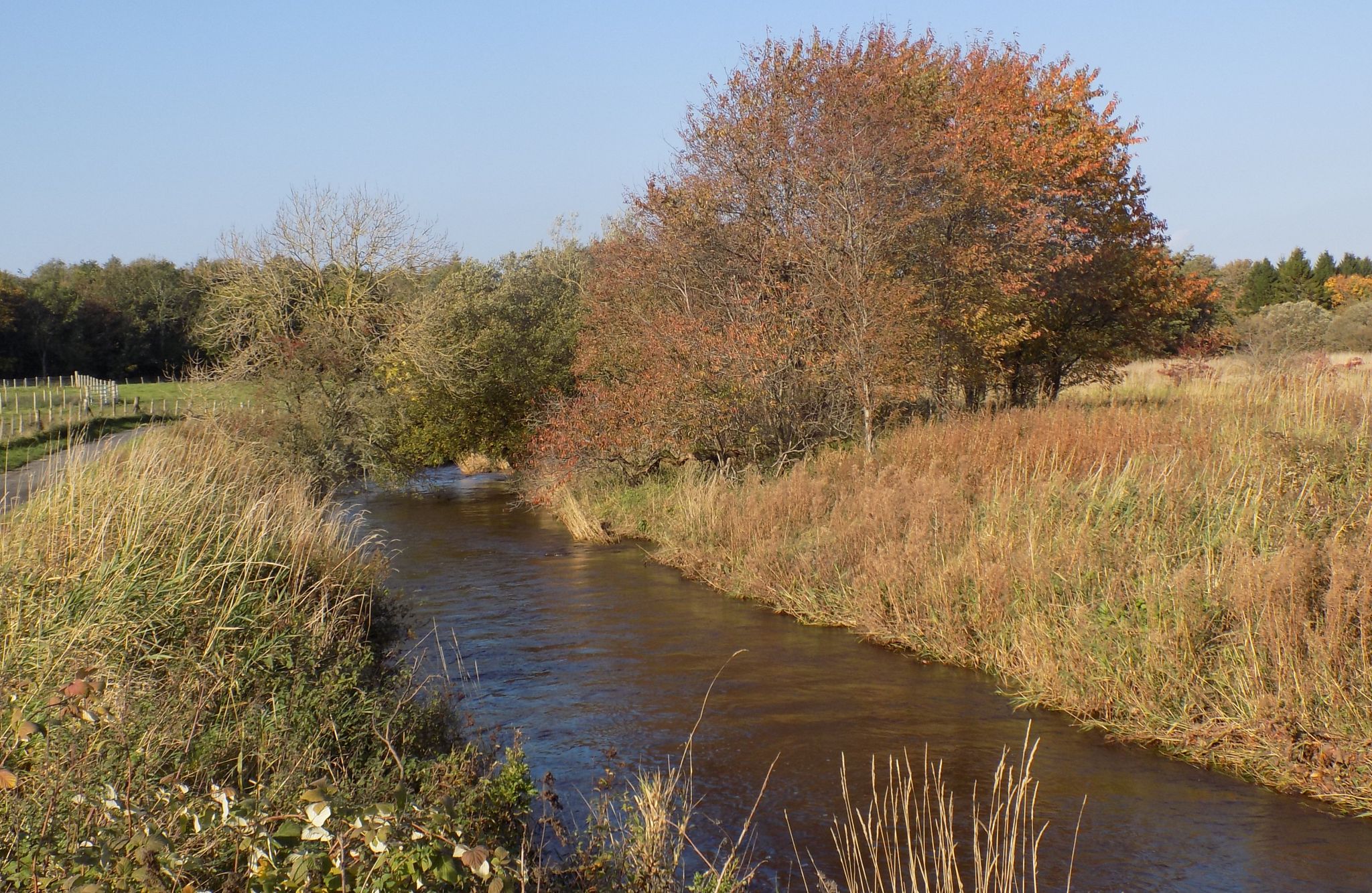 Lugton Water in Eglinton Country Park