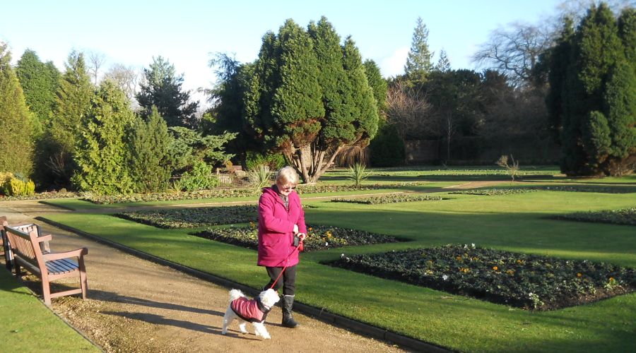 Flower garden in King's Park