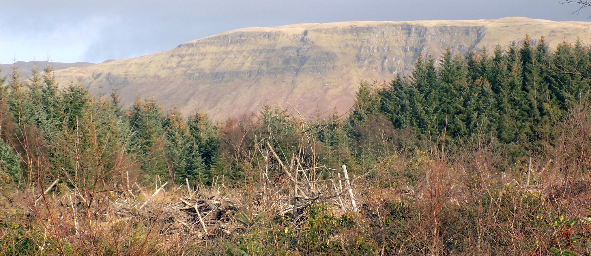 Path to Coult Brae