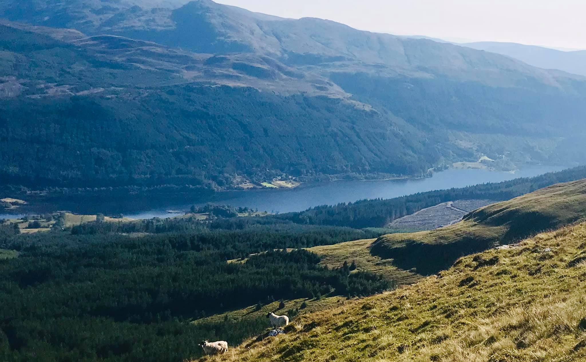 Loch Lubnaig from Ben Vane