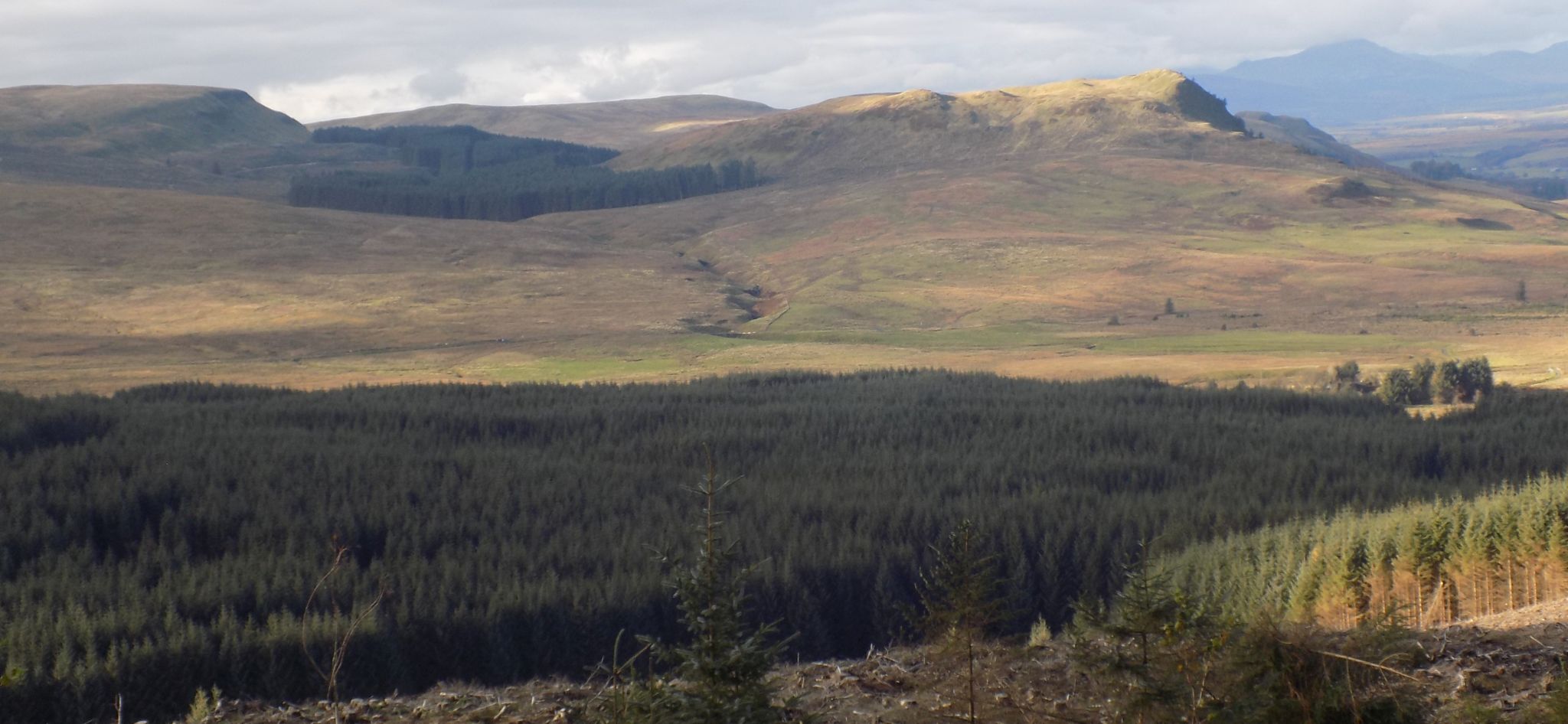 Campsie Fells from Meikle Bin