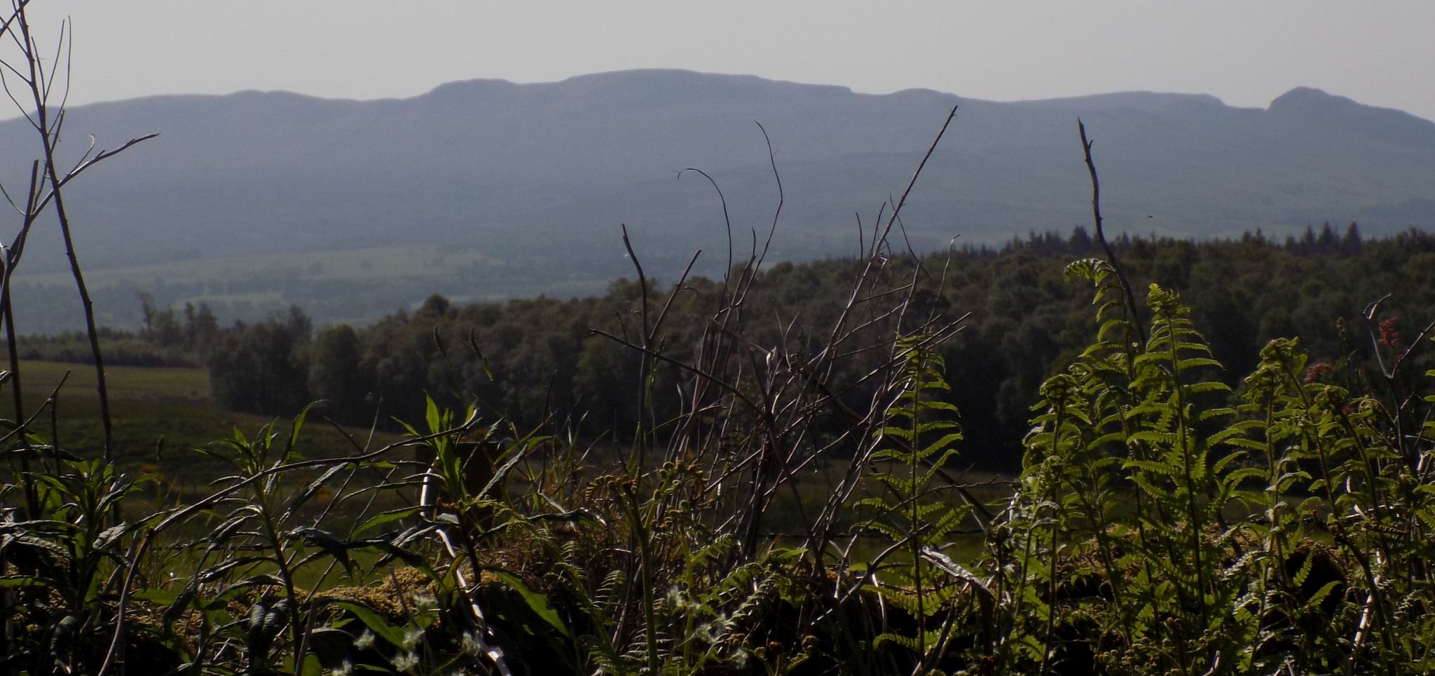 Campsie Fells from the Rob Roy Way