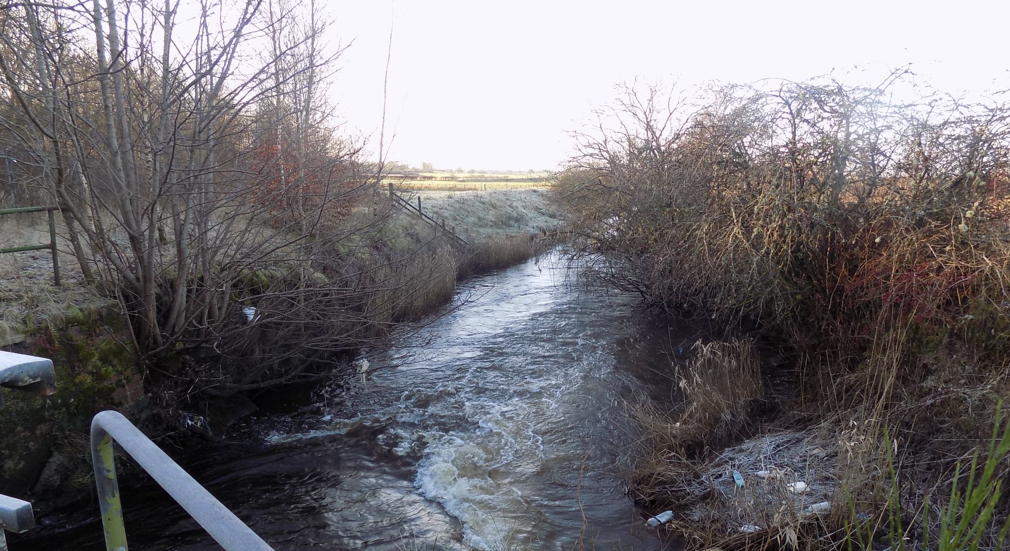 The Kelvin River from Walkway