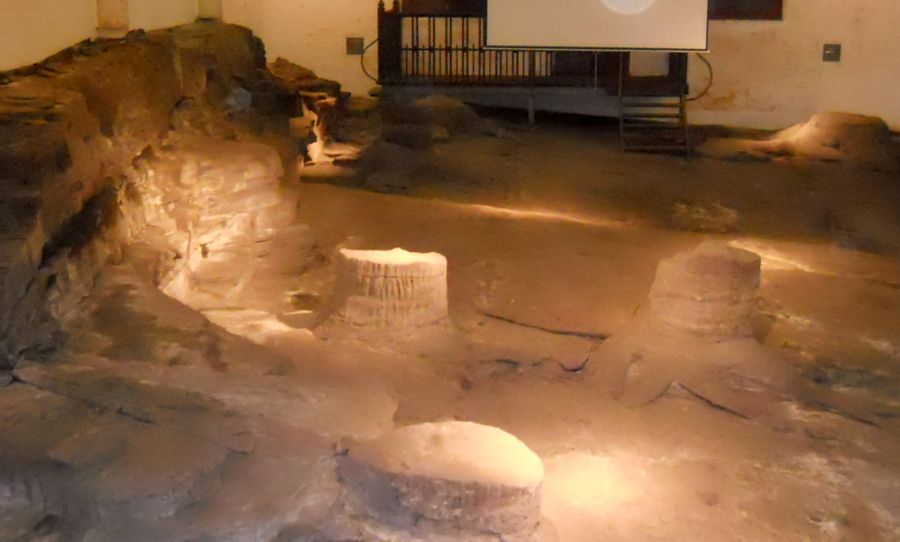 Fossilised tree stumps in the Fossil Grove in Victoria Park