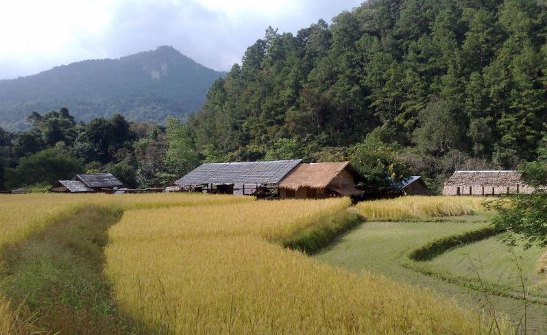 Doi Inthanon National Park